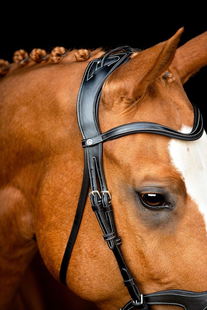 Monarch Bridle Organic Tanned - Black
