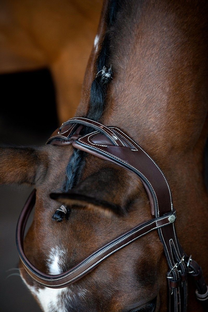 Monarch Bridle Organic Tanned - Brown