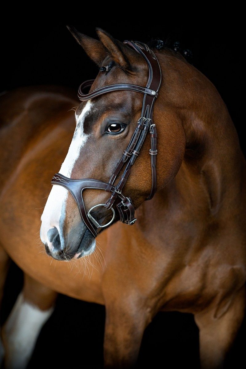 Monarch Bridle Organic Tanned - Brown