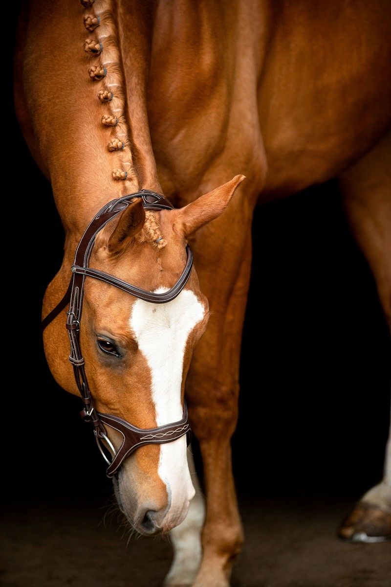 Monarch Bridle Organic Tanned - Brown