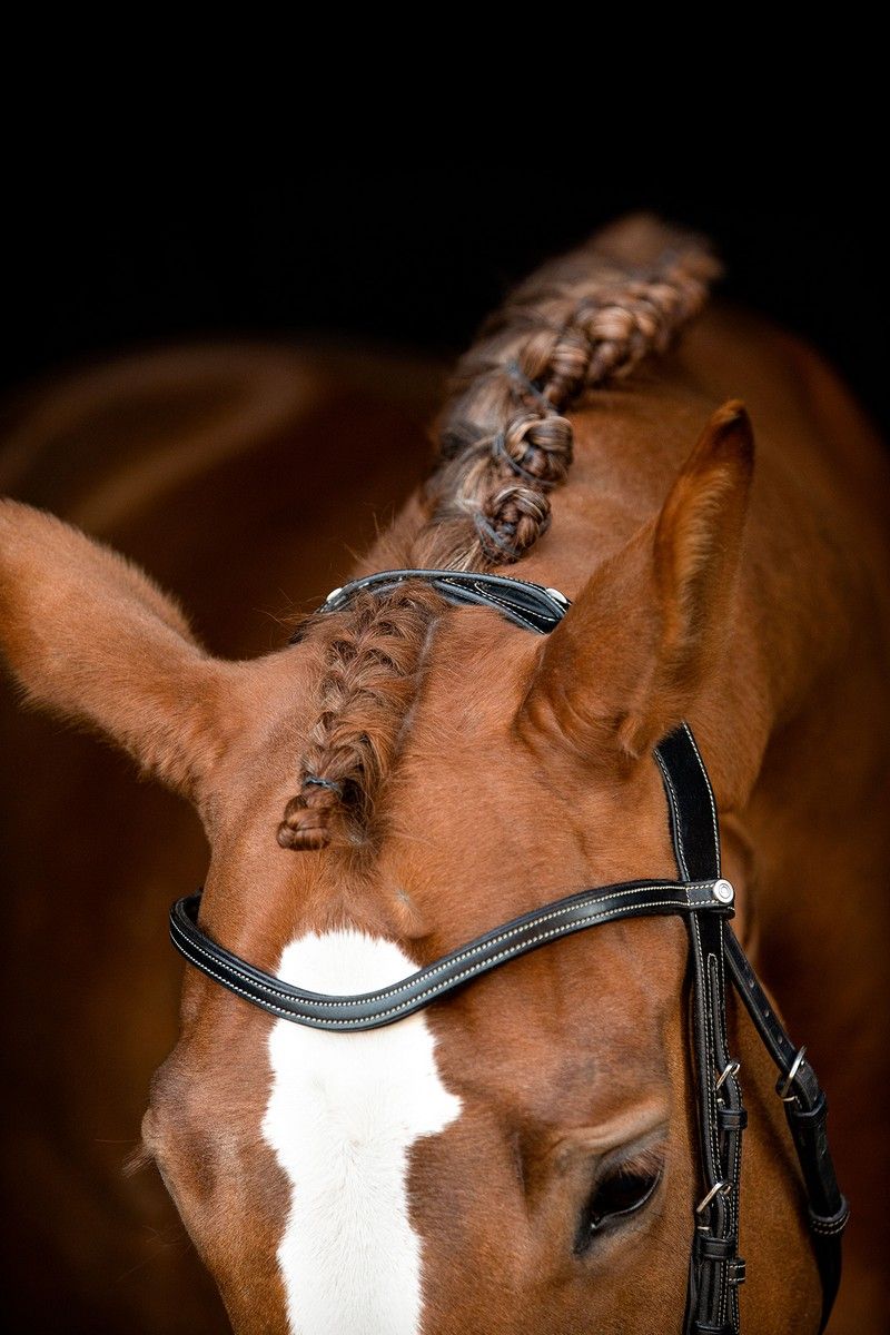 US Excellence Bridle Adapt Organic Tanned - Black