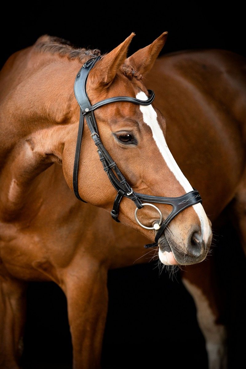 US Excellence Bridle Adapt Organic Tanned - Black