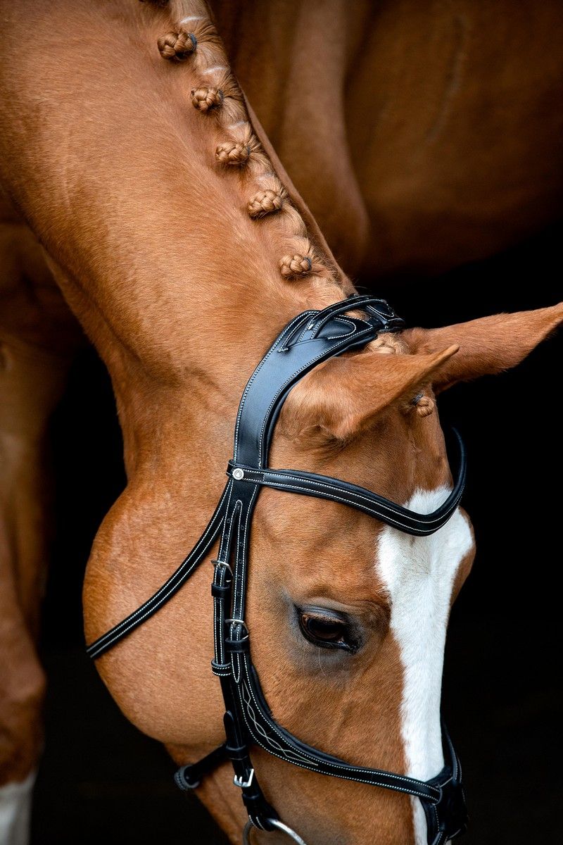 Lyon 8-Fig Bridle Organic Tanned - Black