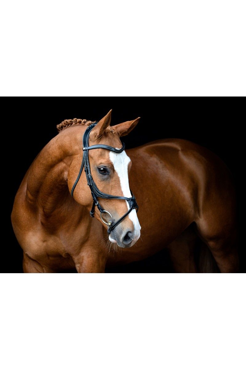 Lyon 8-Fig Bridle Organic Tanned - Black