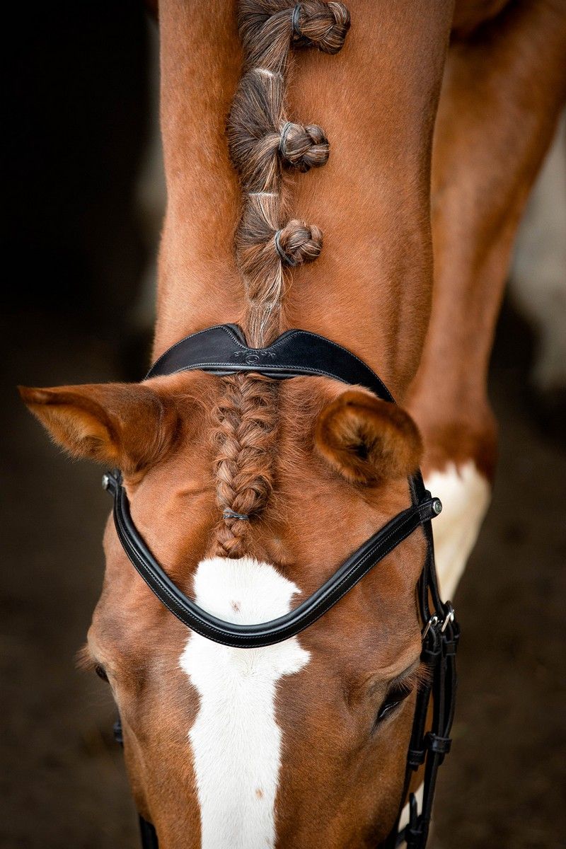 Normandie Bridle Organic Tanned - Black