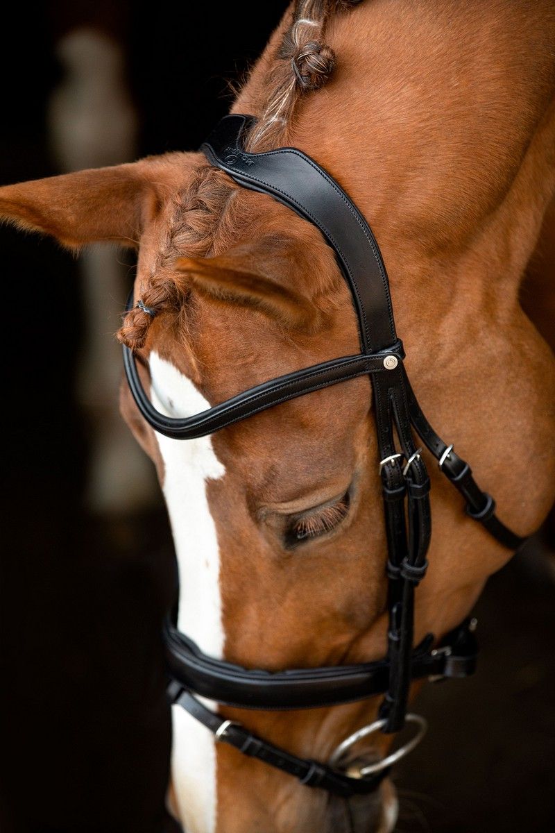 Normandie Bridle Organic Tanned - Black