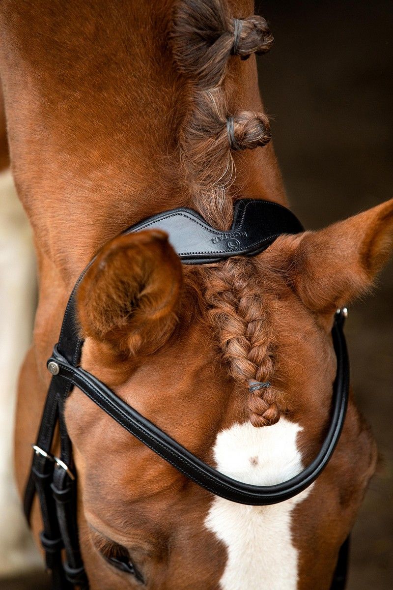 Normandie Bridle Organic Tanned - Black