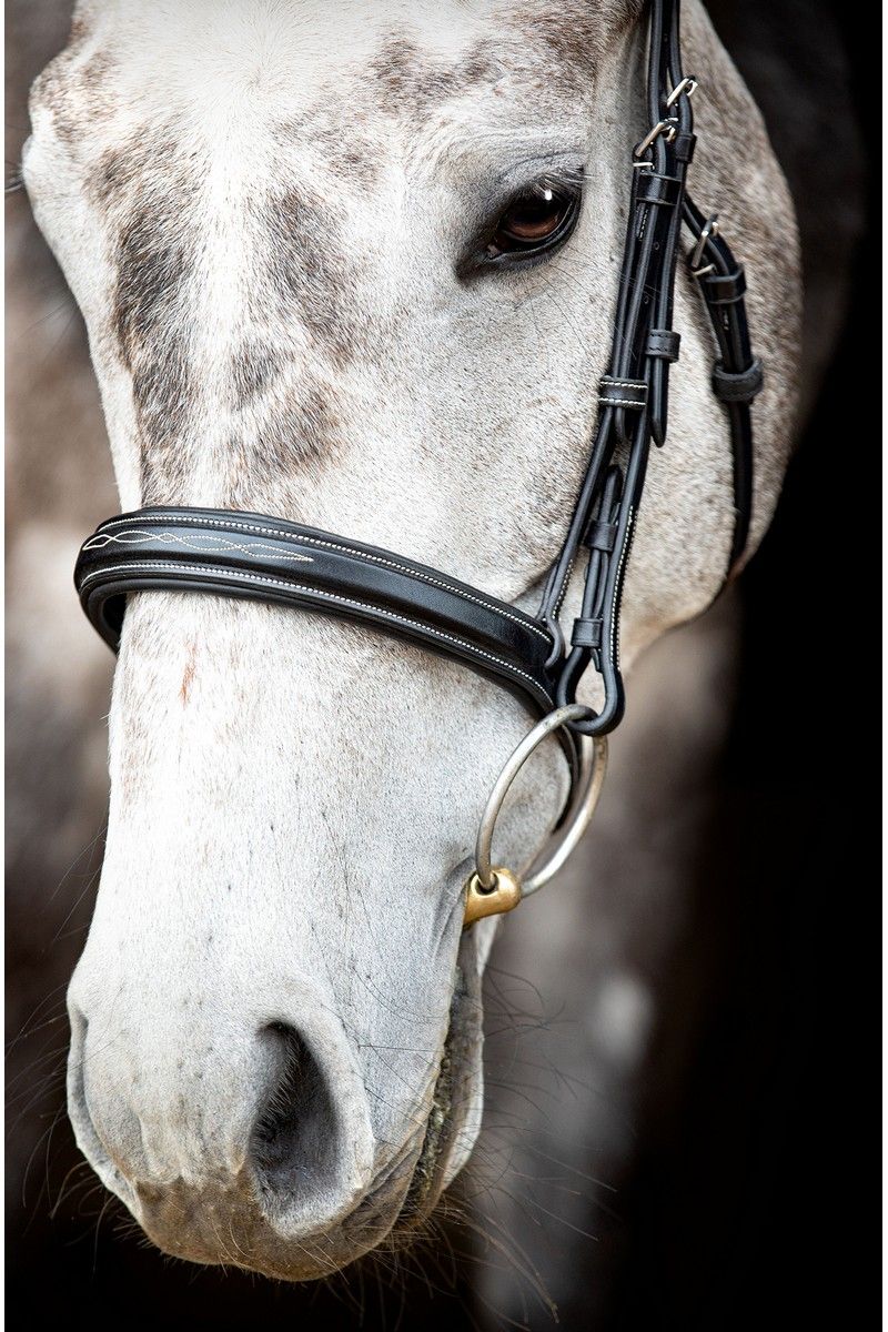 Hunter Bridle Organic Tanned - Black