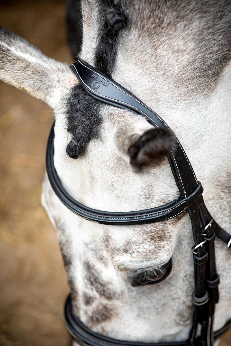 Hunter Bridle Organic Tanned - Black