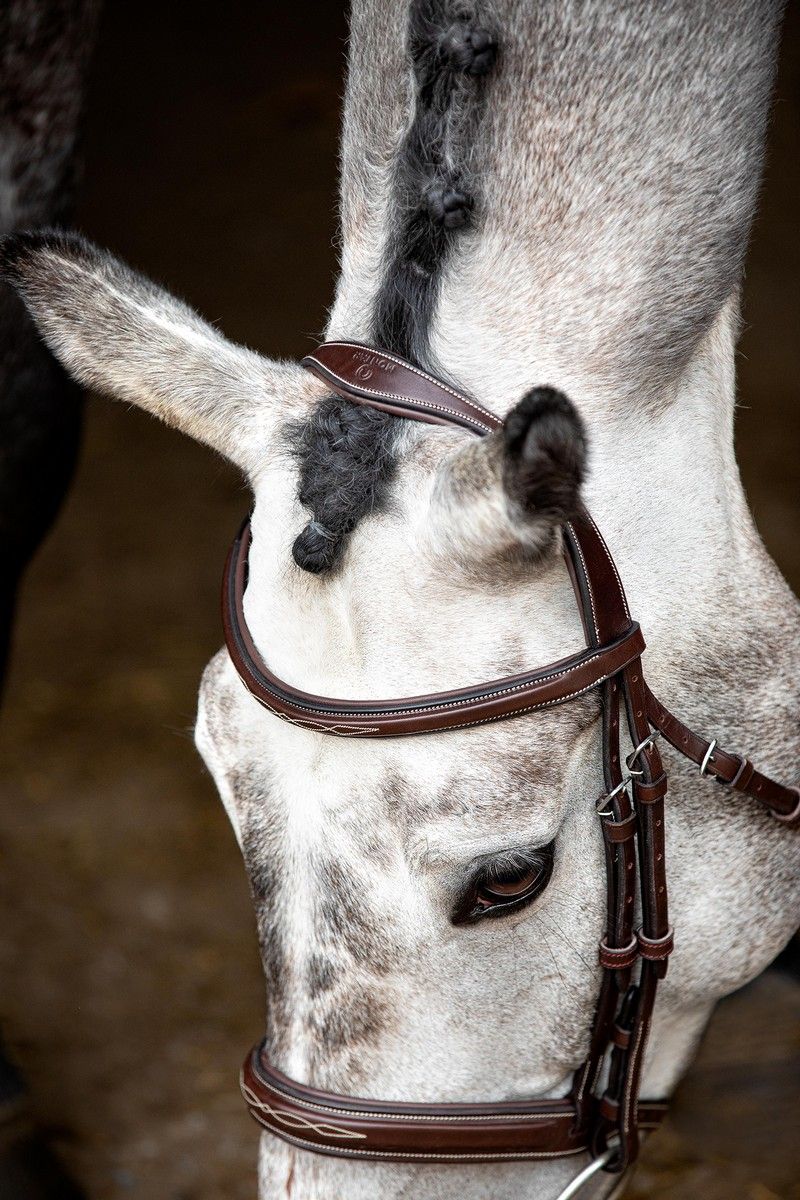 Hunter Bridle Organic Tanned - Brown
