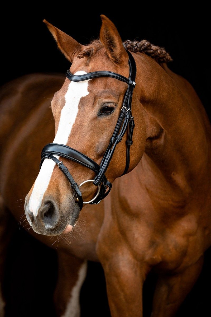 Normandie Bridle Organic Tanned - Black