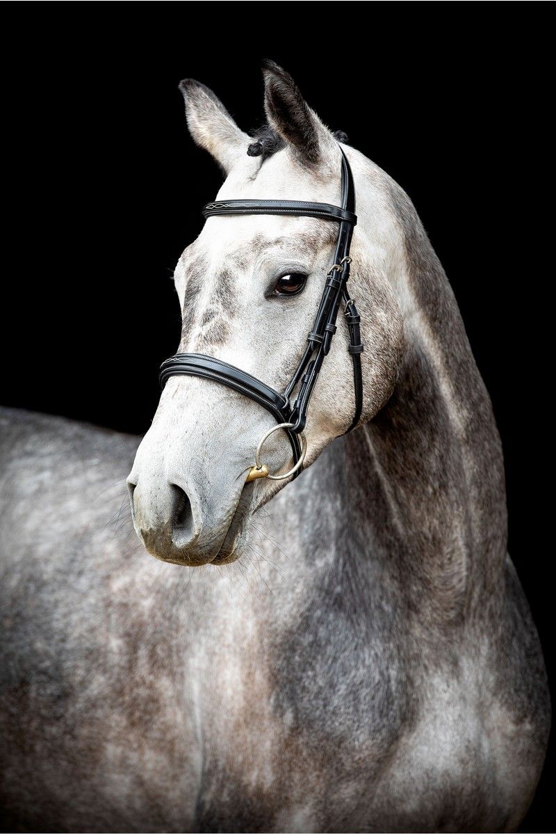 Hunter Bridle Organic Tanned - Black