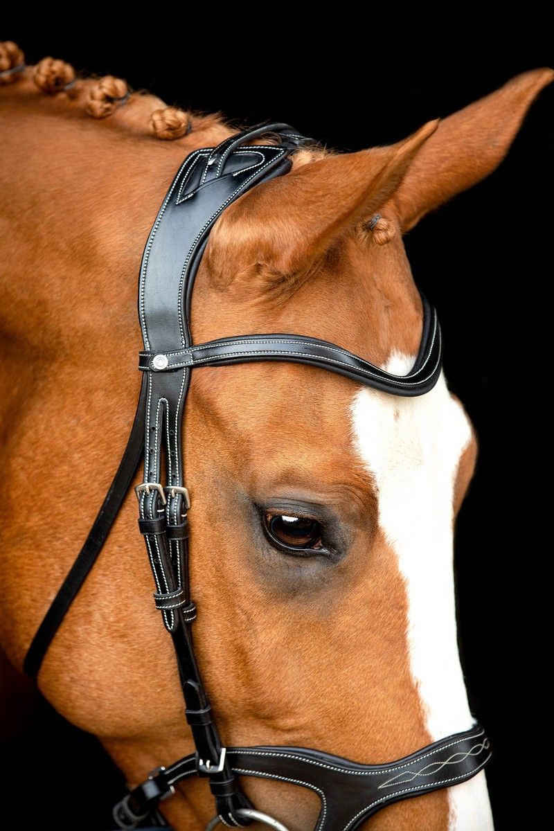 Monarch Bridle Organic Tanned - Black