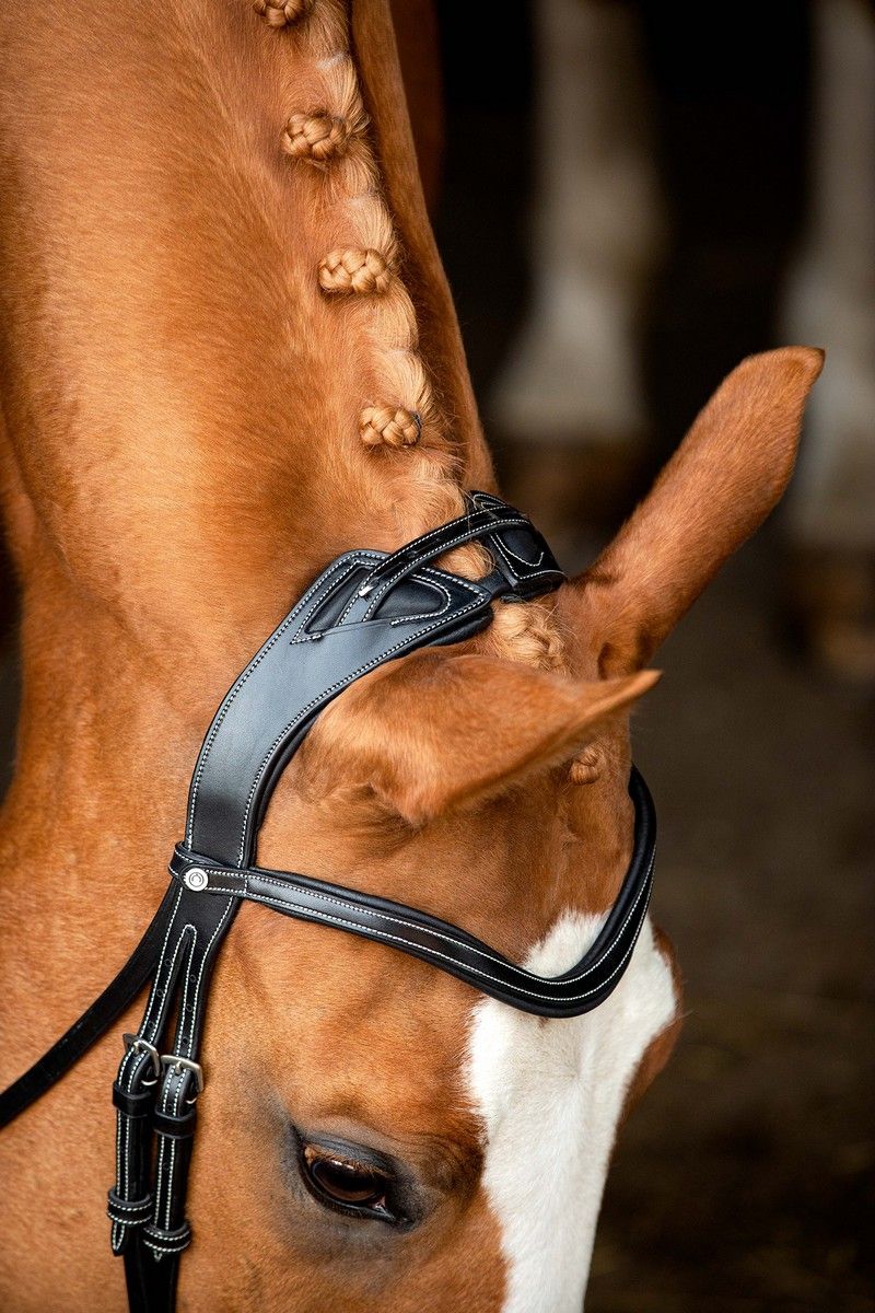 Monarch Bridle Organic Tanned - Black