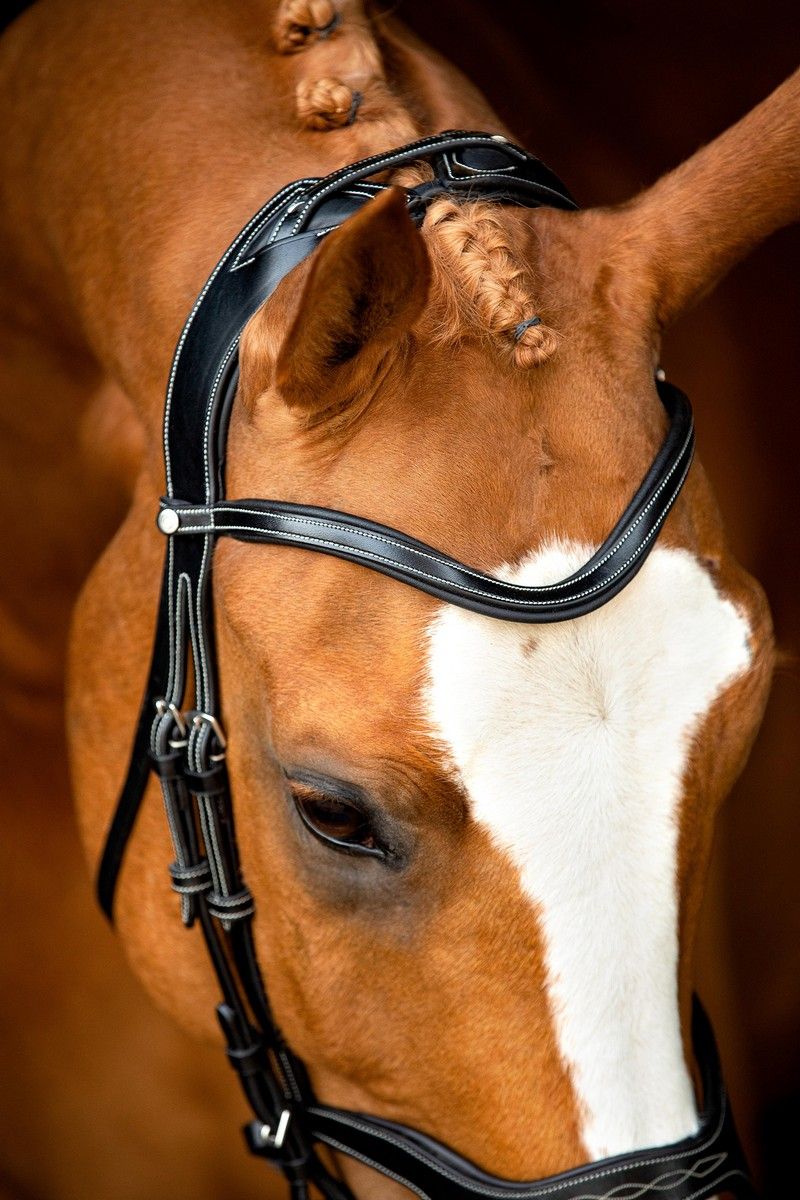 Monarch Bridle Organic Tanned - Black