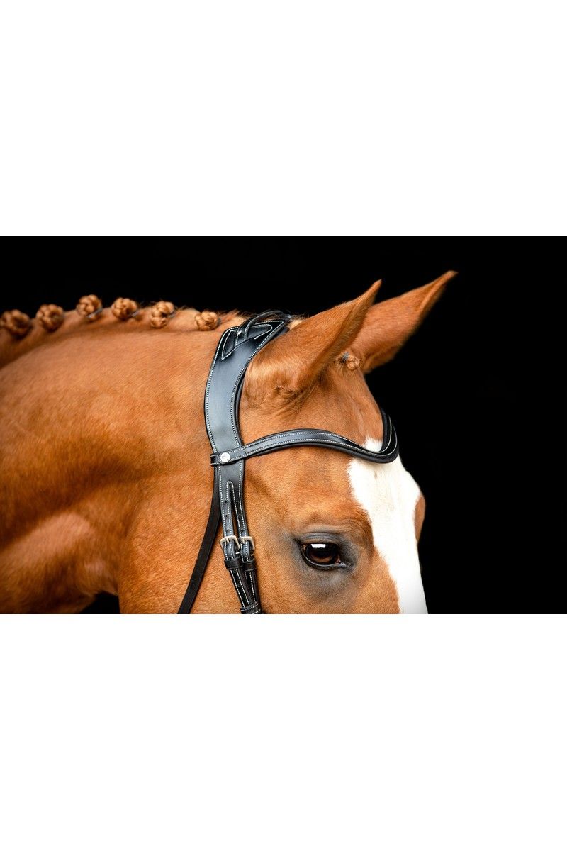 Monarch Bridle Organic Tanned - Black