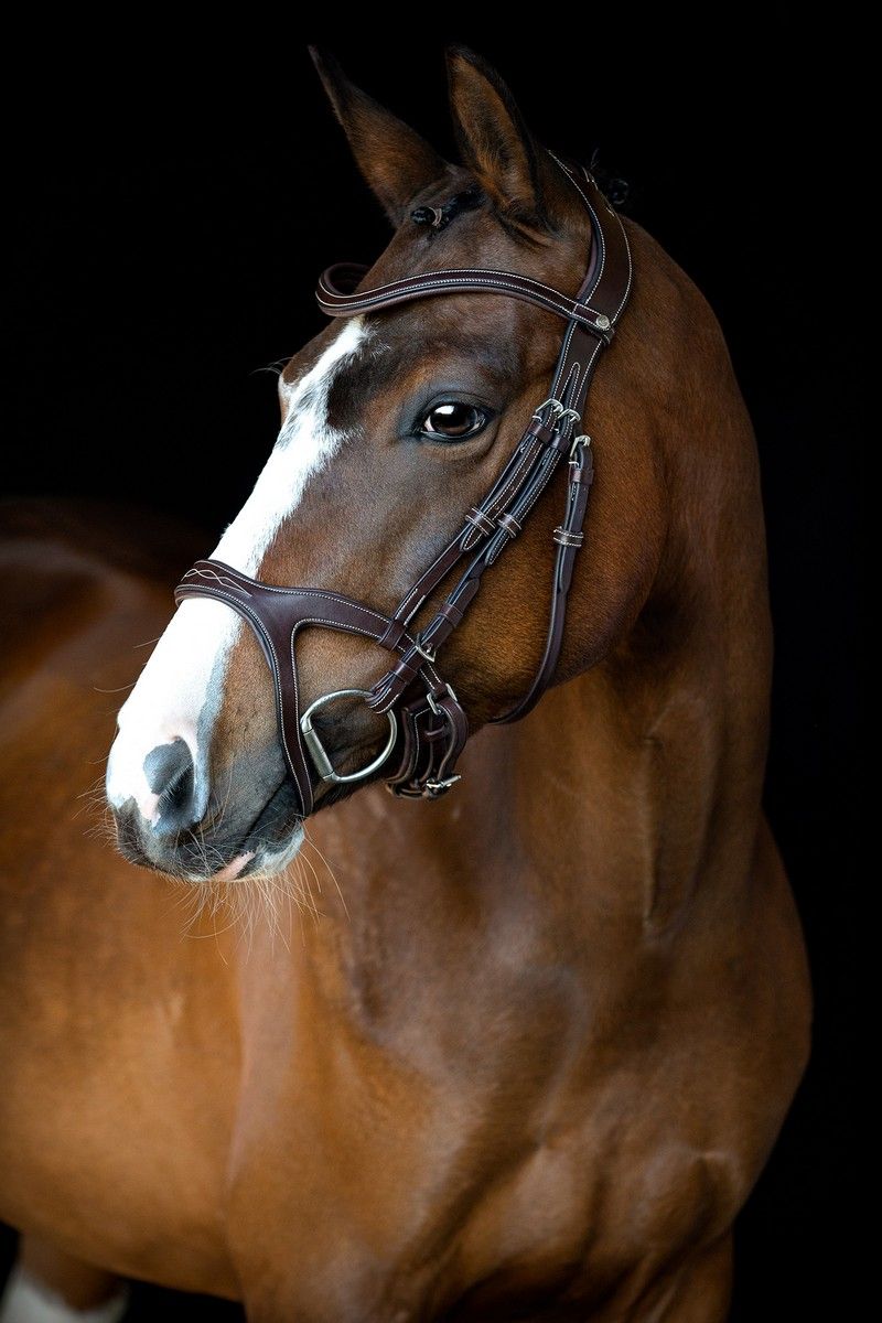 Monarch Bridle Organic Tanned - Brown
