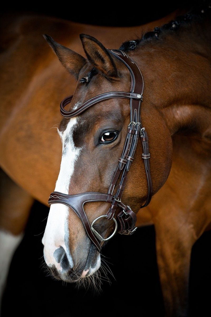 Monarch Bridle Organic Tanned - Brown