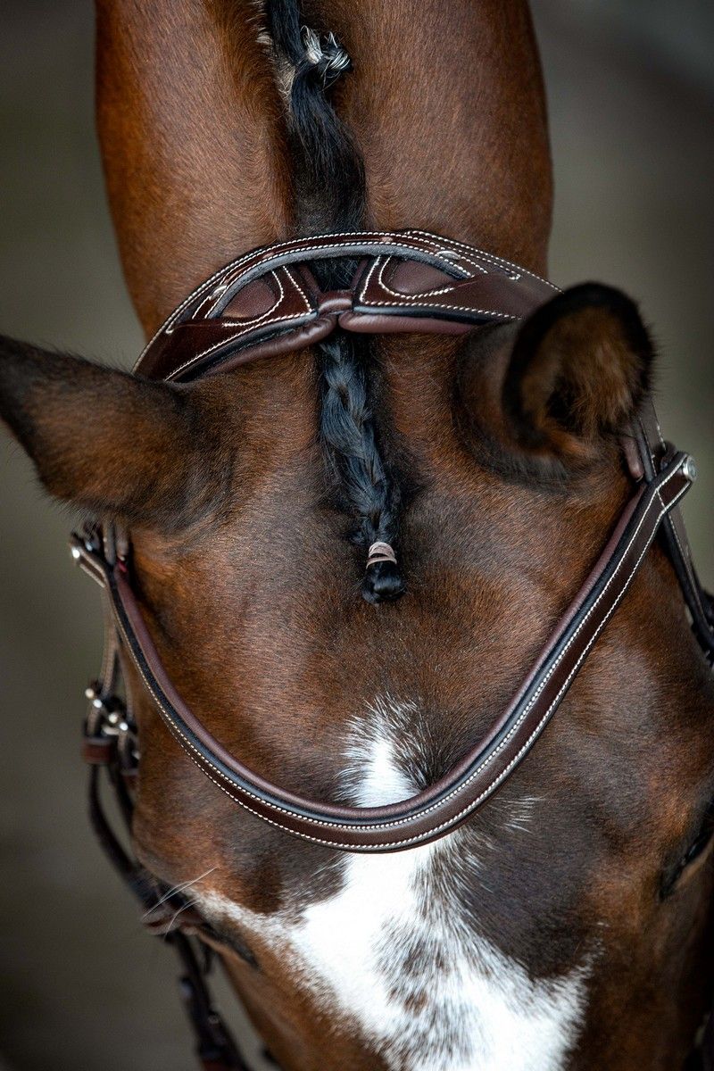 Monarch Bridle Organic Tanned - Brown