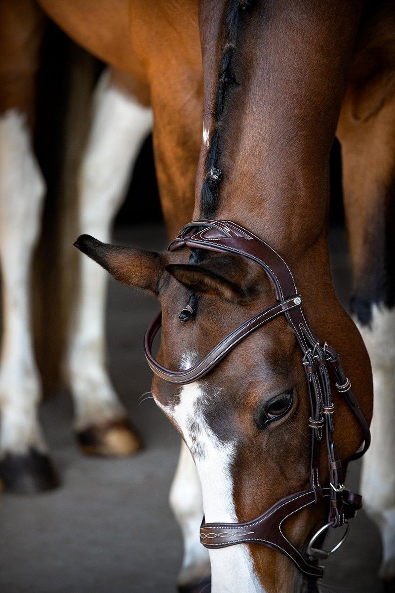 Monarch Bridle Organic Tanned - Brown