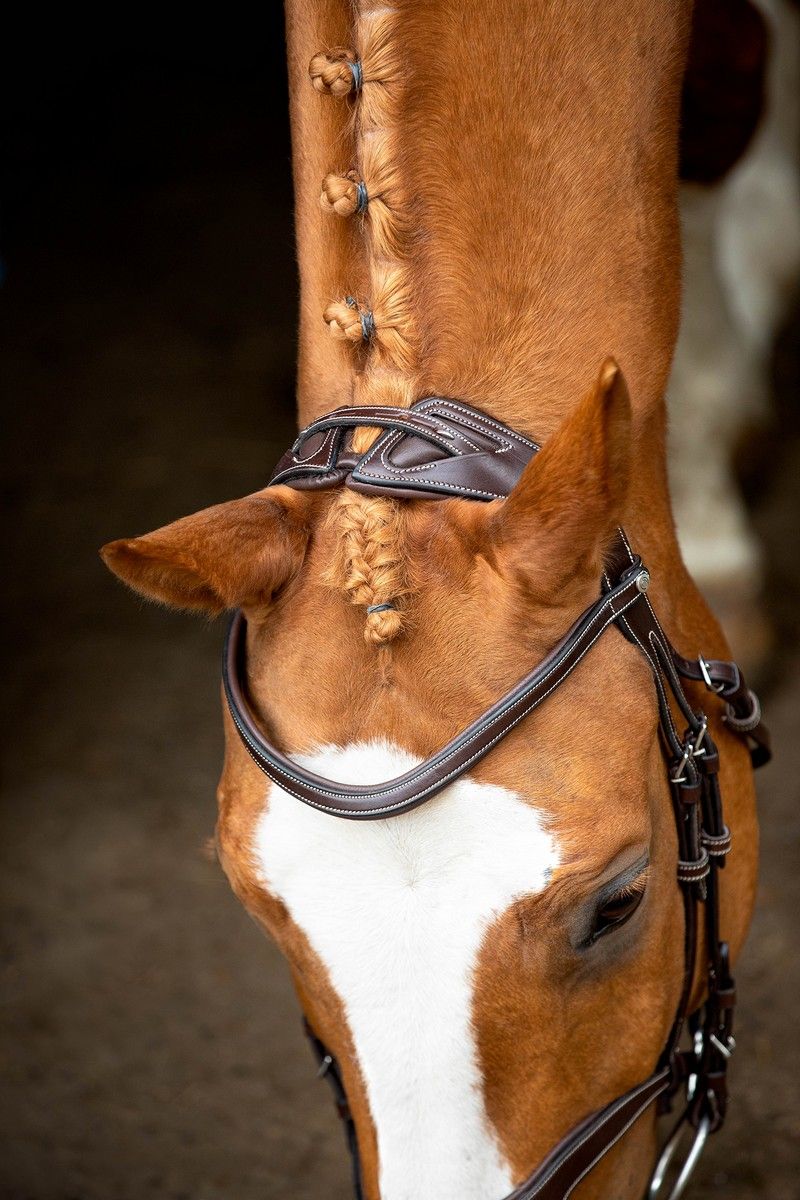 Monarch Bridle Organic Tanned - Brown