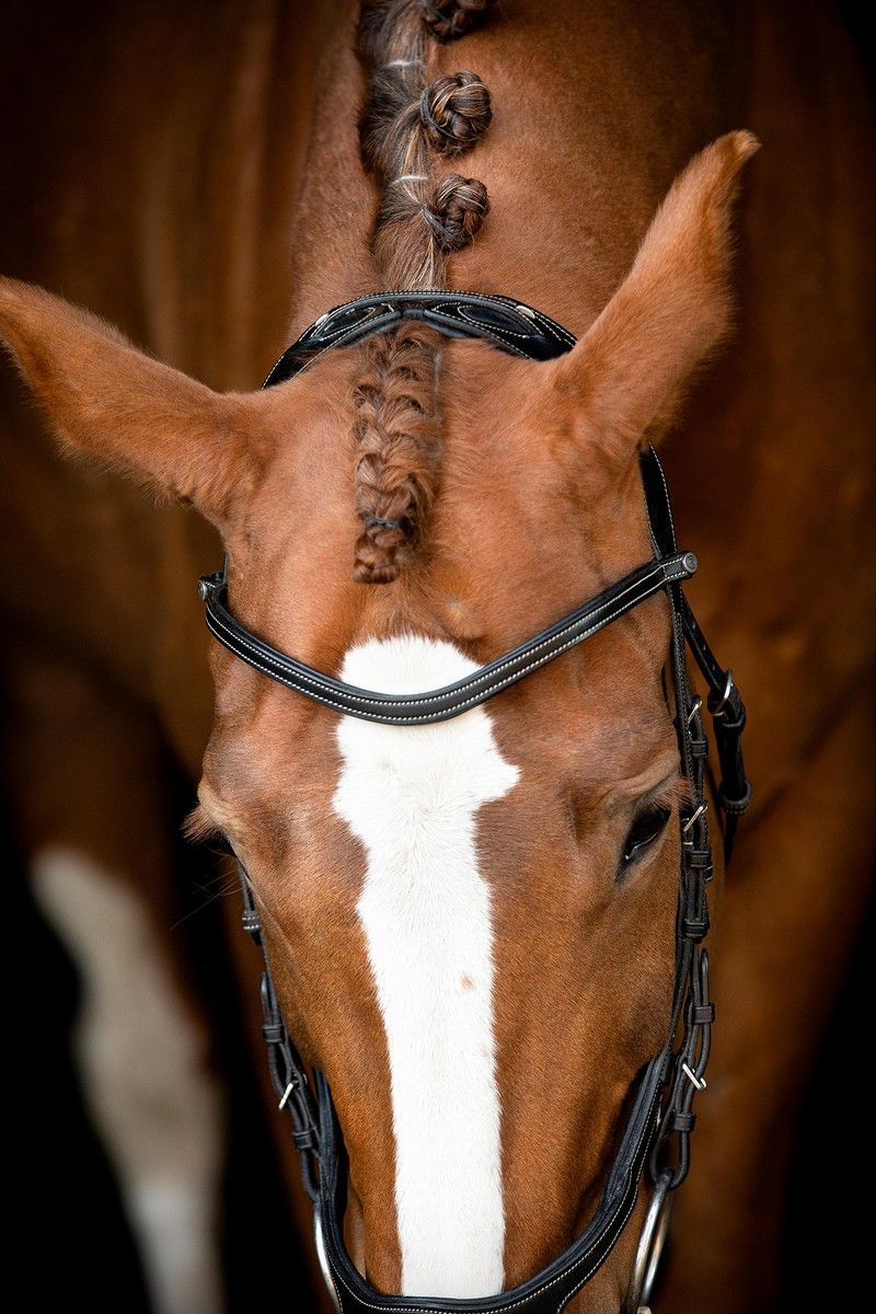 US Excellence Bridle Adapt Organic Tanned - Black