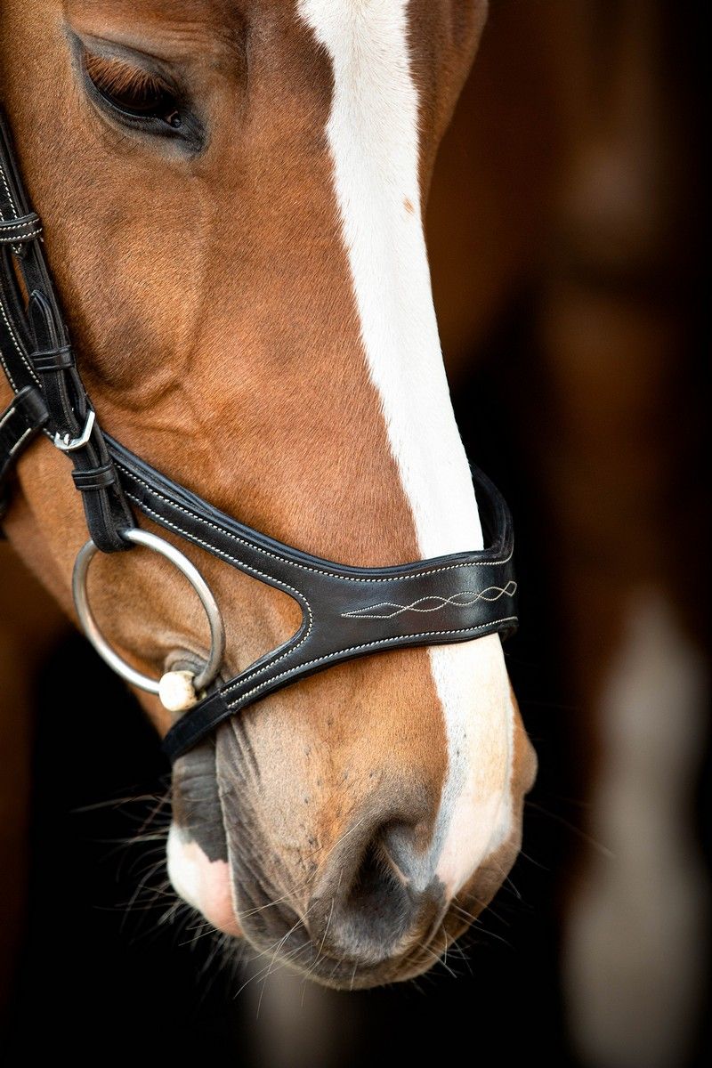 US Excellence Bridle Adapt Organic Tanned - Black