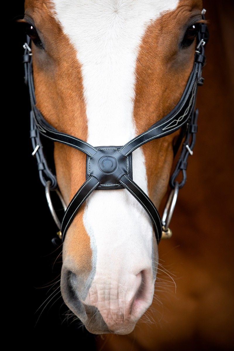 Lyon 8-Fig Bridle Organic Tanned - Black