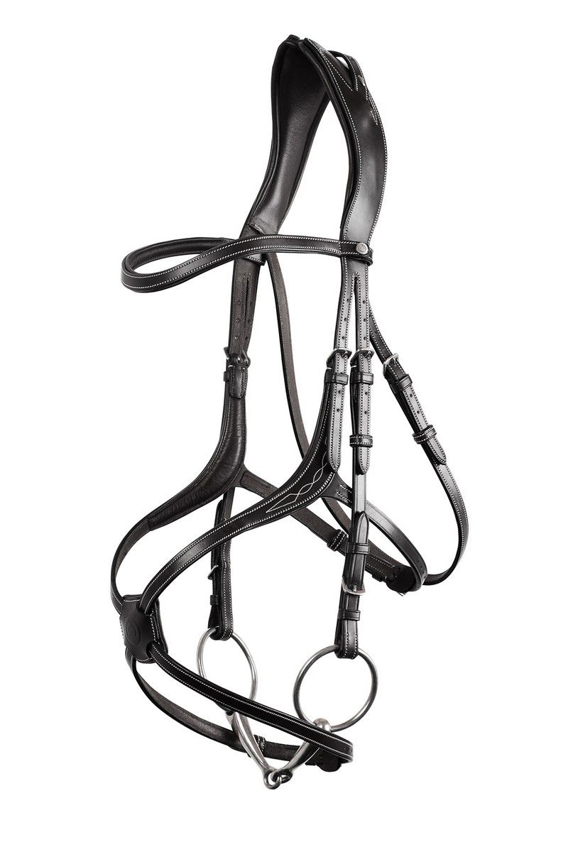 Lyon 8-Fig Bridle Organic Tanned - Black