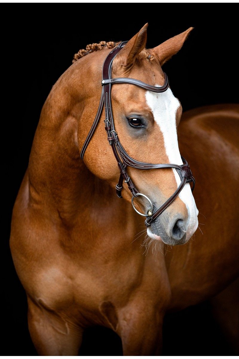 Lyon 8-Fig Bridle Organic Tanned - Brown