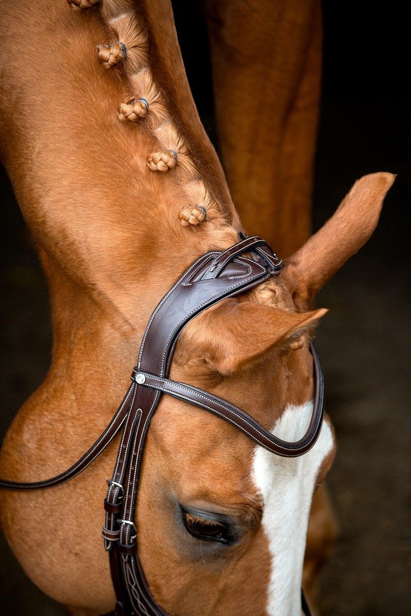 Lyon 8-Fig Bridle Organic Tanned - Brown