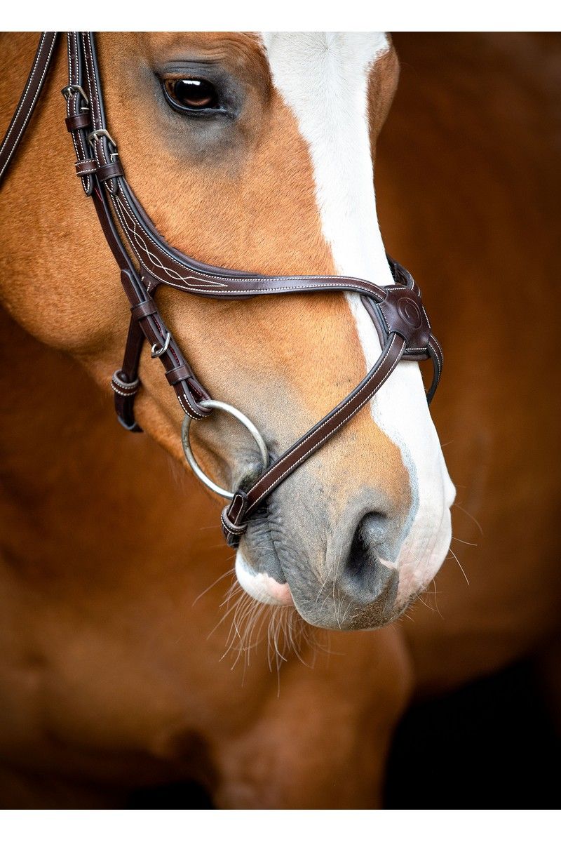 Lyon 8-Fig Bridle Organic Tanned - Brown