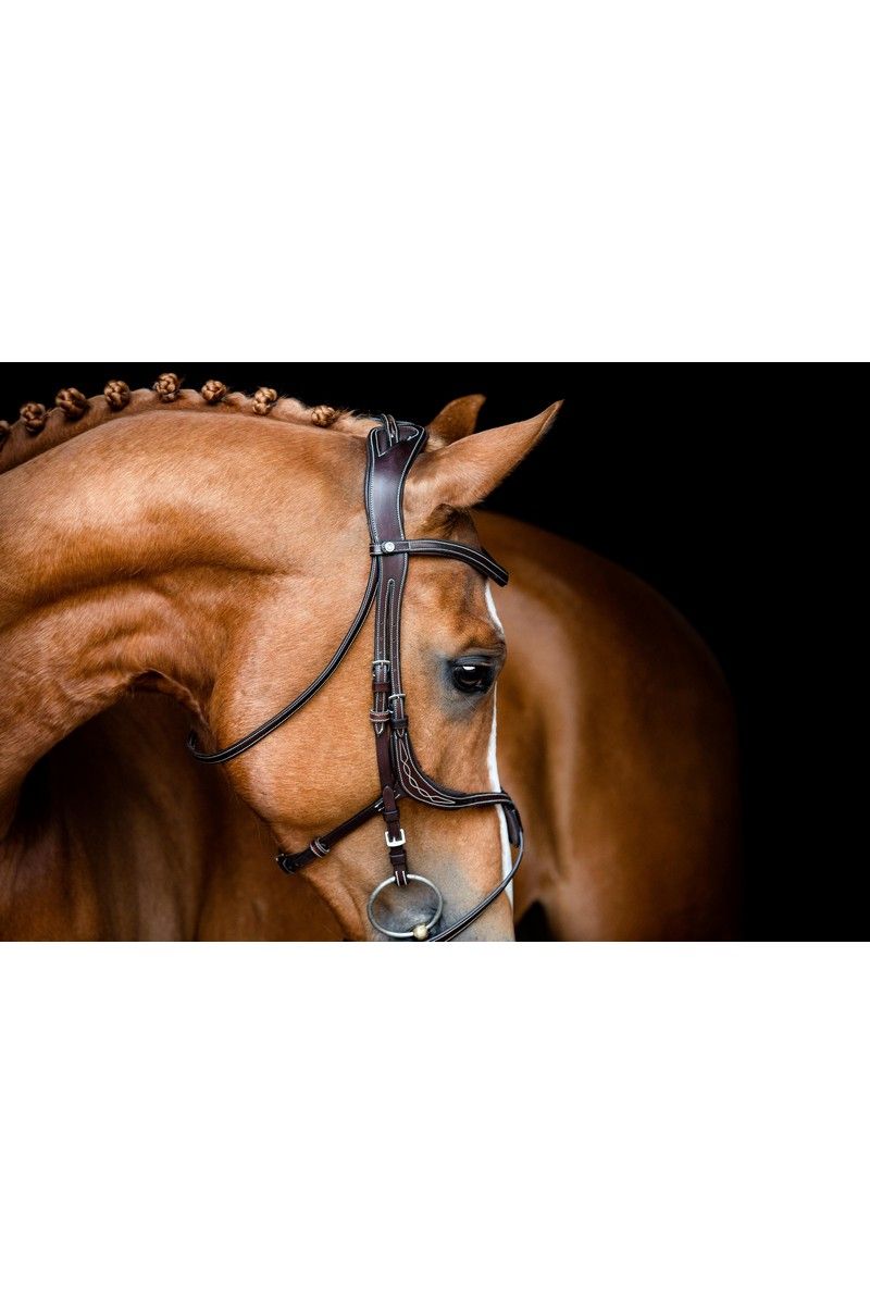 Lyon 8-Fig Bridle Organic Tanned - Brown