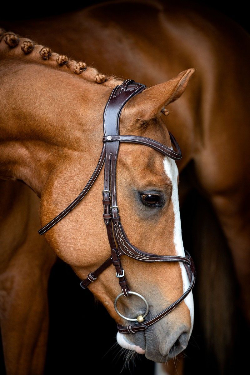 Lyon 8-Fig Bridle Organic Tanned - Brown