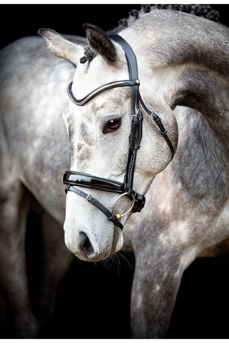 Normandie Deluxe Bridle Organic Tanned - Black