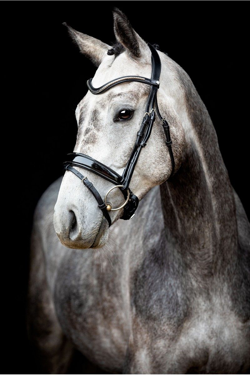 Normandie Deluxe Bridle Organic Tanned - Black