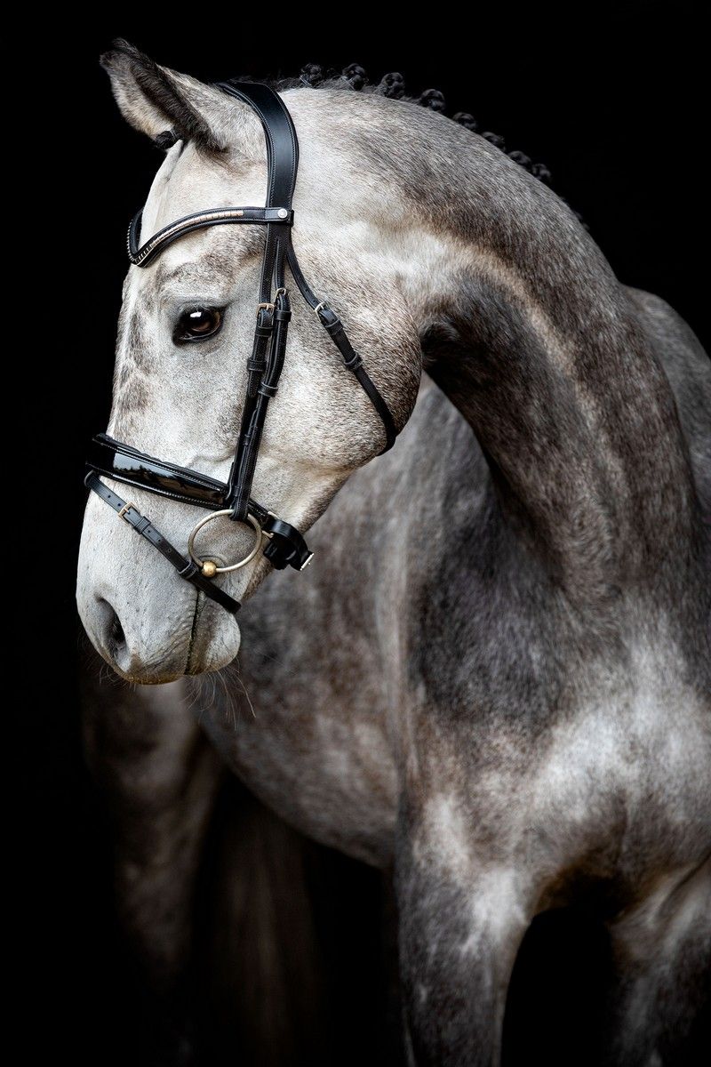 Normandie Deluxe Bridle Organic Tanned - Black