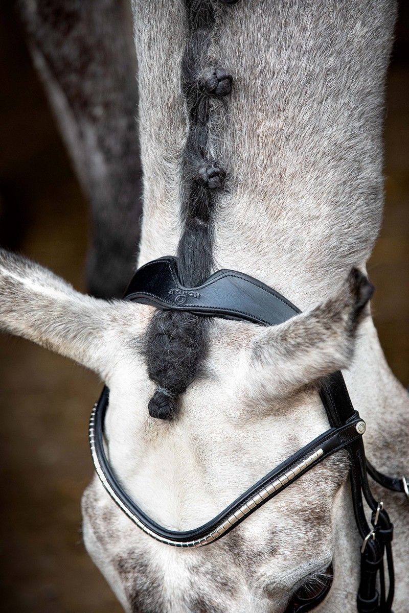 Normandie Deluxe Bridle Organic Tanned - Black