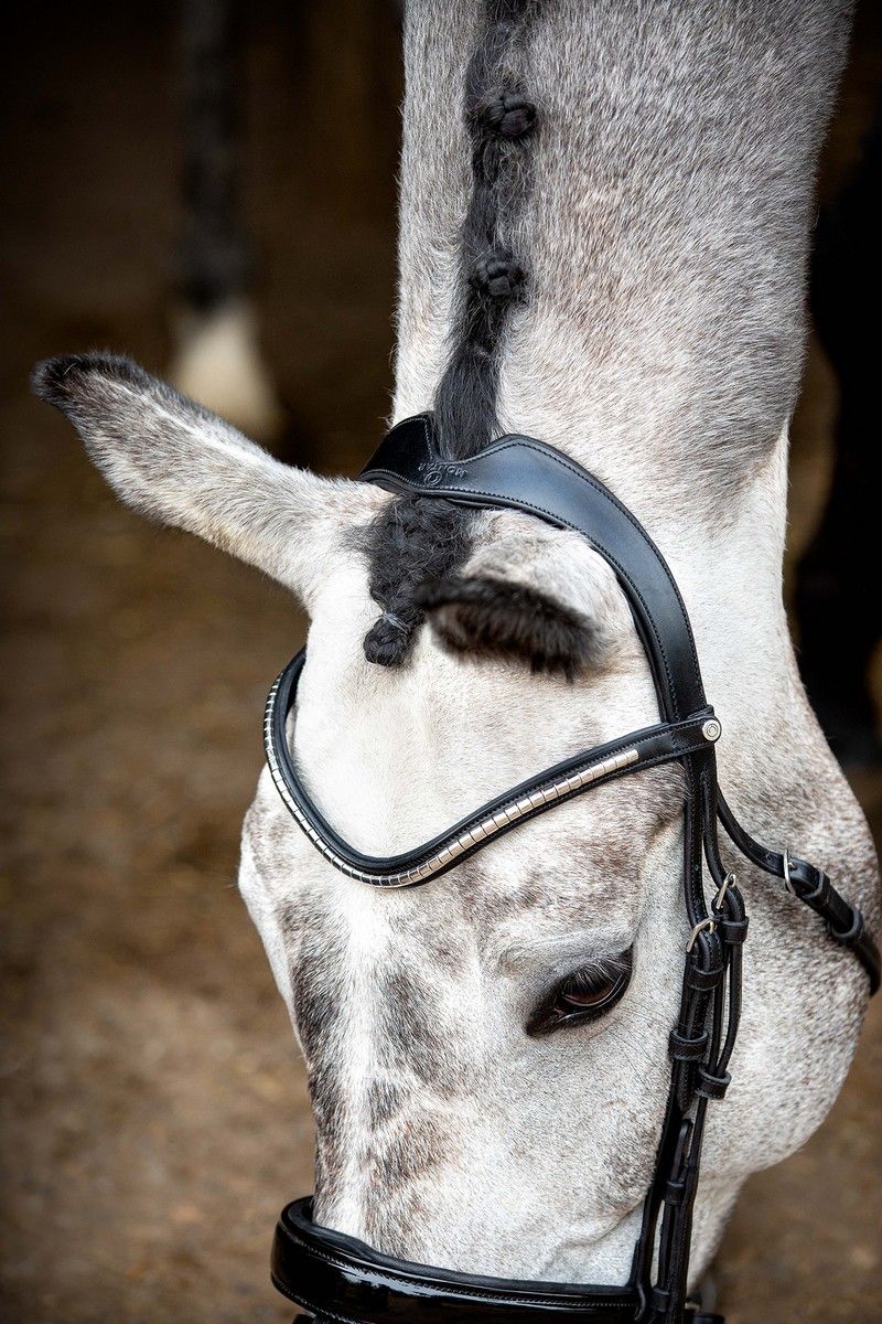 Normandie Deluxe Bridle Organic Tanned - Black