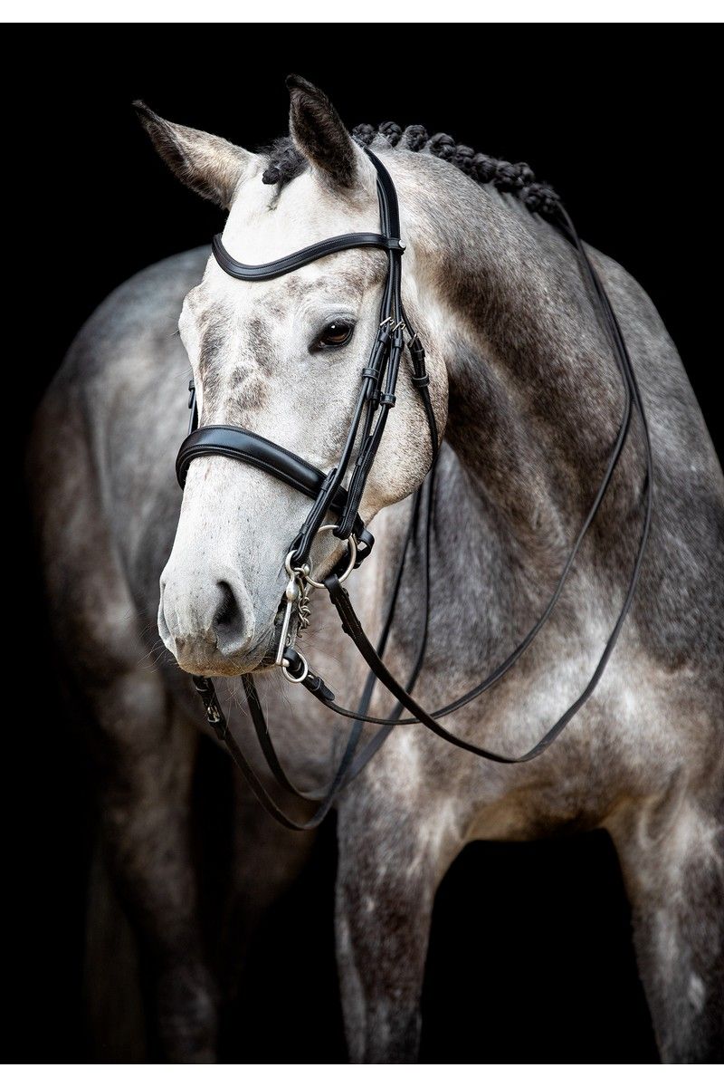 Normandie Double Bridle Organic Tanned - Black