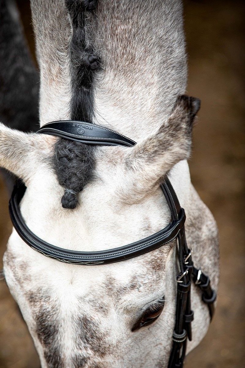 Hunter Bridle Organic Tanned - Black